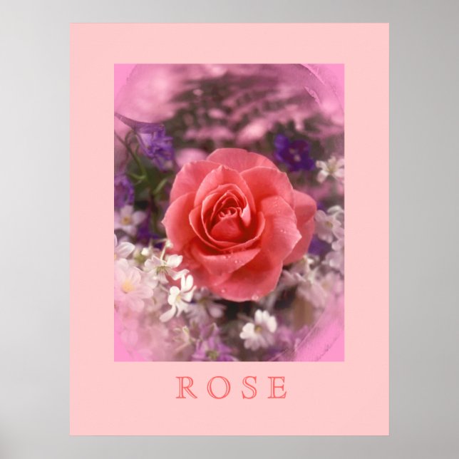 Pôster Rosa (Frente)