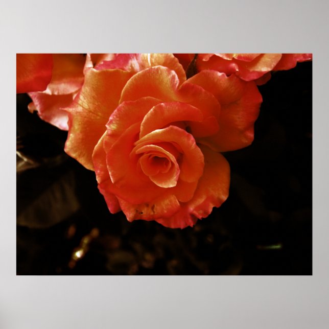 Poster rosa (Frente)