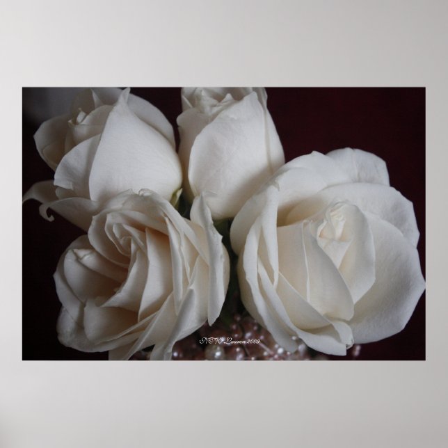 Poster Rosa 15 (Frente)