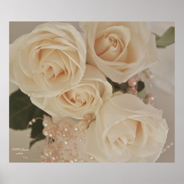 PÔSTER ROSA 3 (Frente)