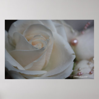 POSTER ROSA 6