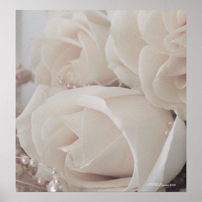 PÔSTER ROSA 9 (Frente)