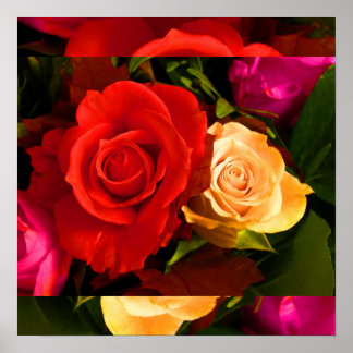 Pôster Rosa Amarela I