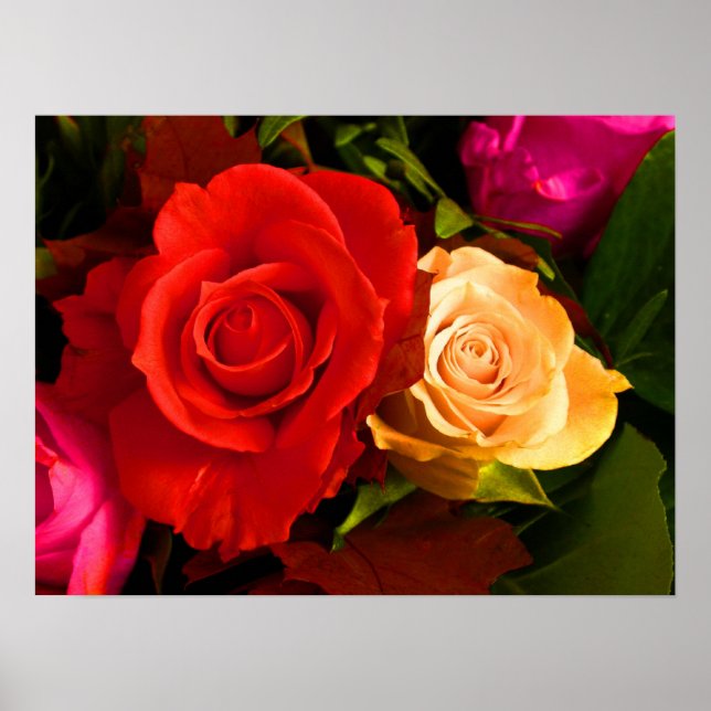Poster Rosa Amarelo (Frente)