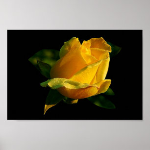 Poster Rosa Amarelo Grande