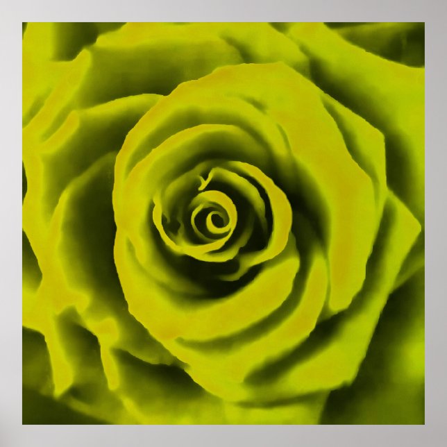 Poster Rosa Amarelo Grande (Frente)