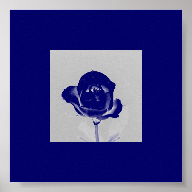 Poster Rosa azul (Frente)