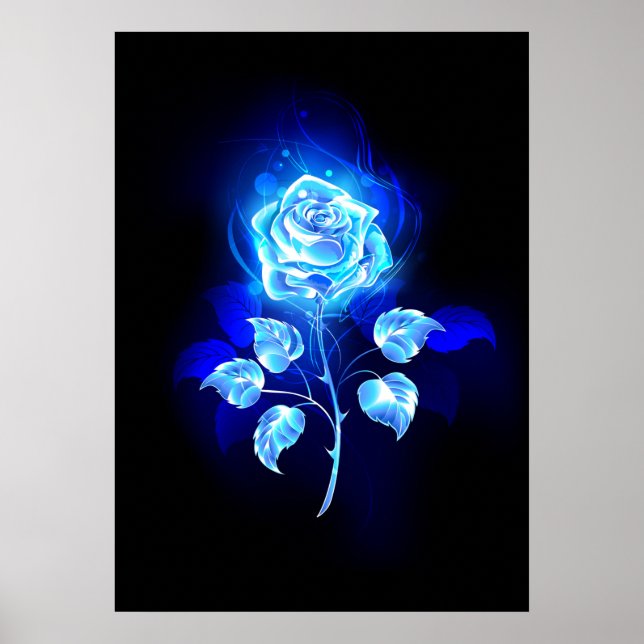 Poster Rosa Azul Ardente (Frente)