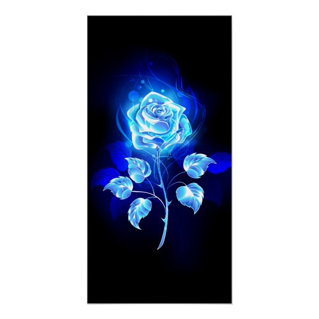 Pôster Rosa Azul Ardente (Frente)
