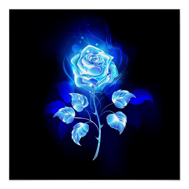 Pôster Rosa Azul Ardente (Frente)