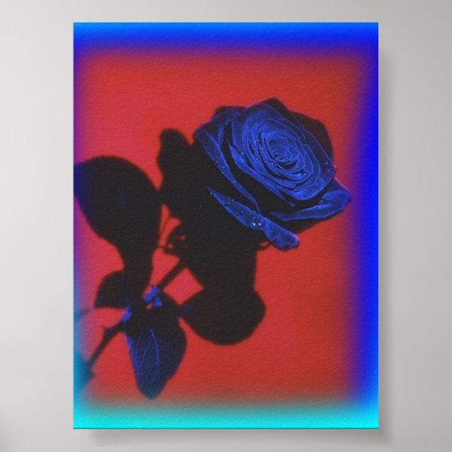 Poster Rosa azul retrorreflector (Frente)