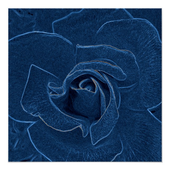 Pôster rosa azul veludo (Frente)