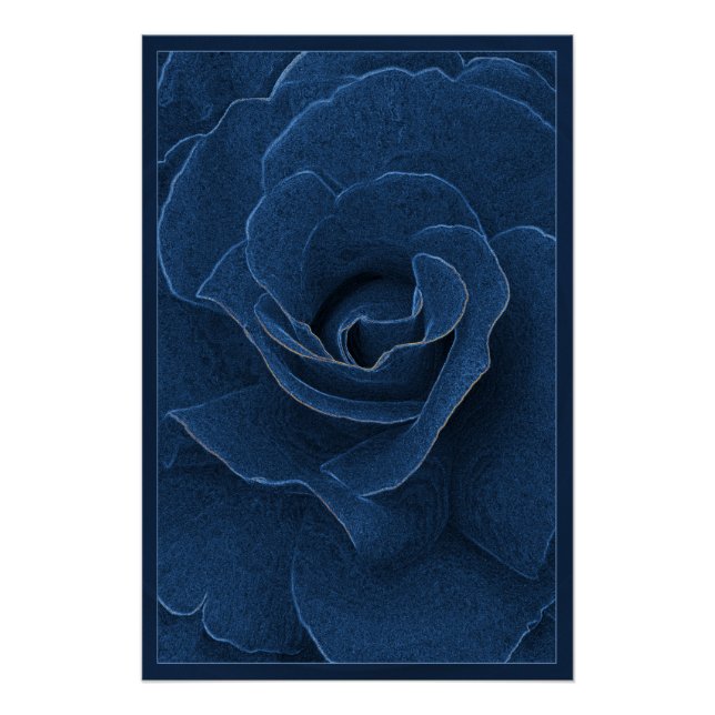 Pôster Rosa azul velvet (Frente)