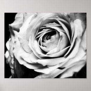 Poster Rosa B&W Afiada