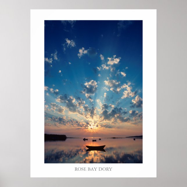 POSTER ROSA BAY DORY (Frente)
