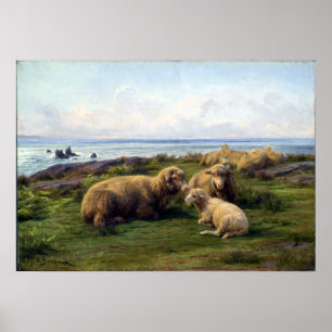 Poster Rosa Bonheur Sheep by the Sea