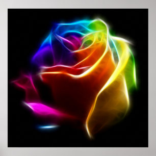 Poster Rosa bonito das cores No2