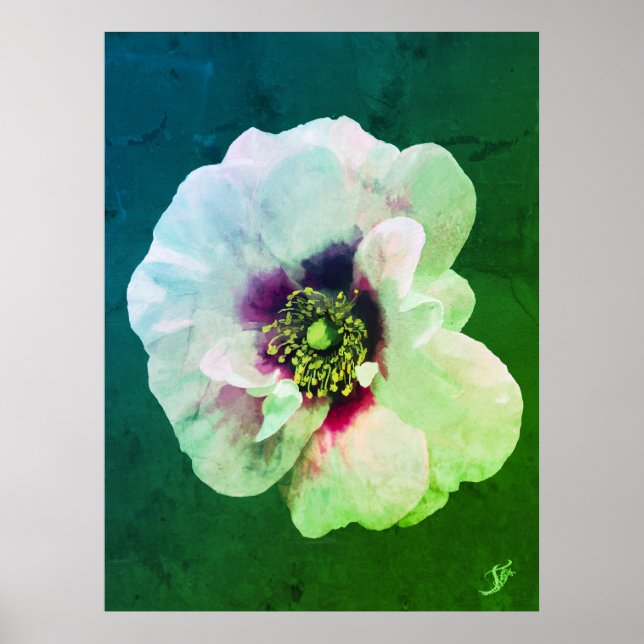 Poster Rosa Branca com coração escuro - pintura a óleo (Frente)