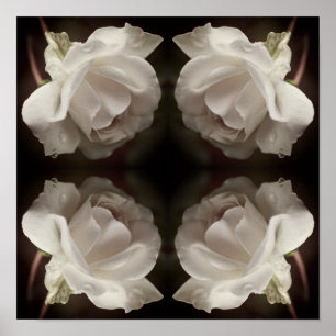 Poster Rosa Branca com Raindrops Mirror Abstrato Vintage