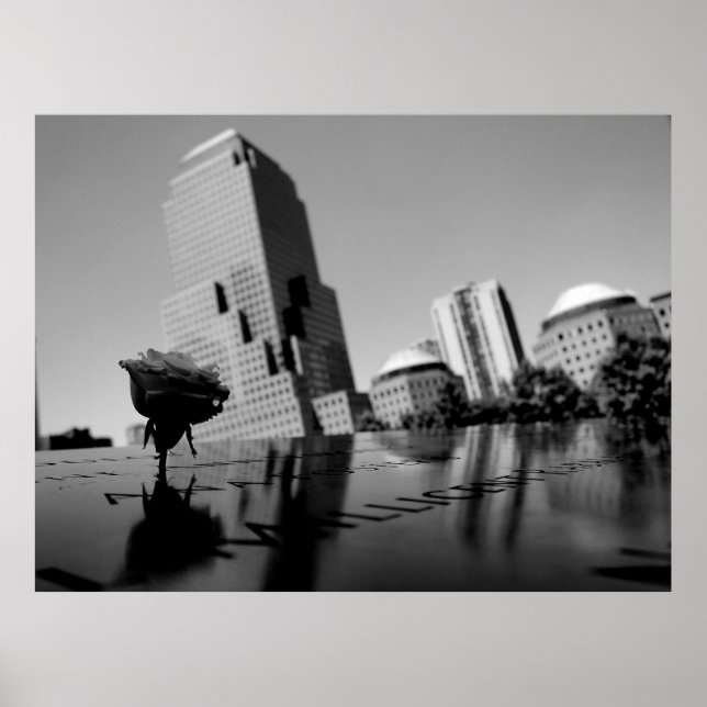 Poster Rosa branca da memória (Frente)