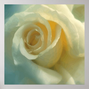Pôster Rosa branco do vetor