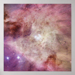 Poster Rosa da nebulosa de Orion