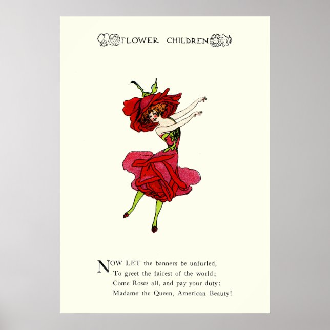Poster Rosa de Beleza Americana, Arte do Livro de Flores  (Frente)