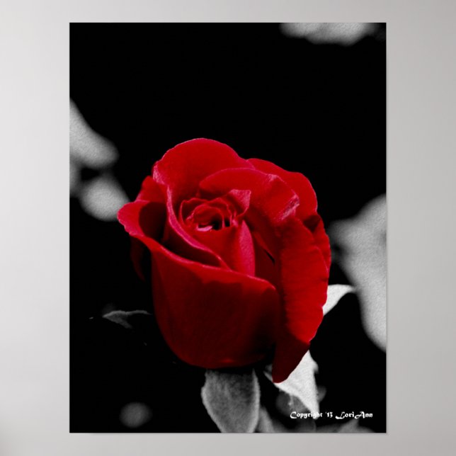 Poster Rosa de carvão vegetal (Frente)