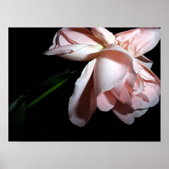 Pôster Rosa de dança 16x12 (Frente)