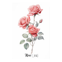 Rosa de Data de Nascimento da Flor (junho)