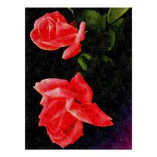 Pôster Rosa de Estrilização Dupla Vintage