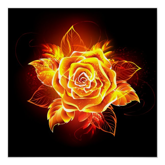 Pôster Rosa de Fogo em Flor (Frente)
