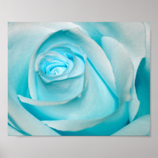 Pôster Rosa de gelo turquesa