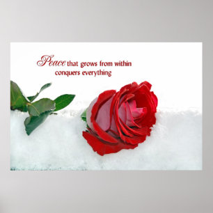 Poster Rosa de inverno