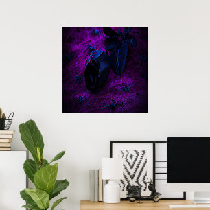 Poster Rosa de Material Negro, Aranhas Negras
