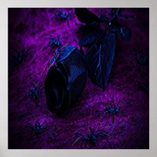 Poster Rosa de Material Negro, Aranhas Negras