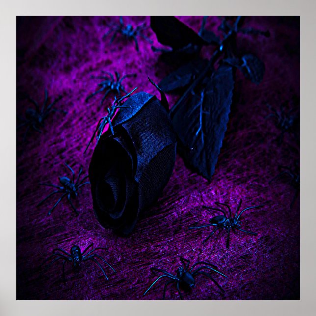 Poster Rosa de Material Negro Spooky, Aranhas Negras (Frente)