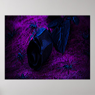 Poster Rosa de Material Negro Spooky, Aranhas Negras