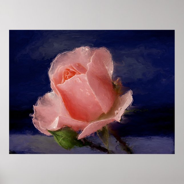 Pôster Rosa de meia-noite (Frente)