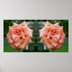 Poster Rosa De Pêssego Em Sangue, Abstrato de Espelho
