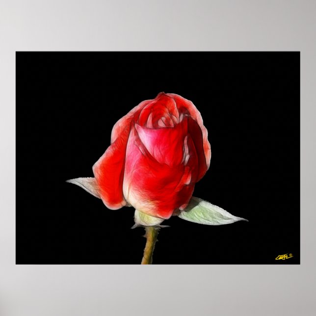 Poster Rosa de sangue (Frente)