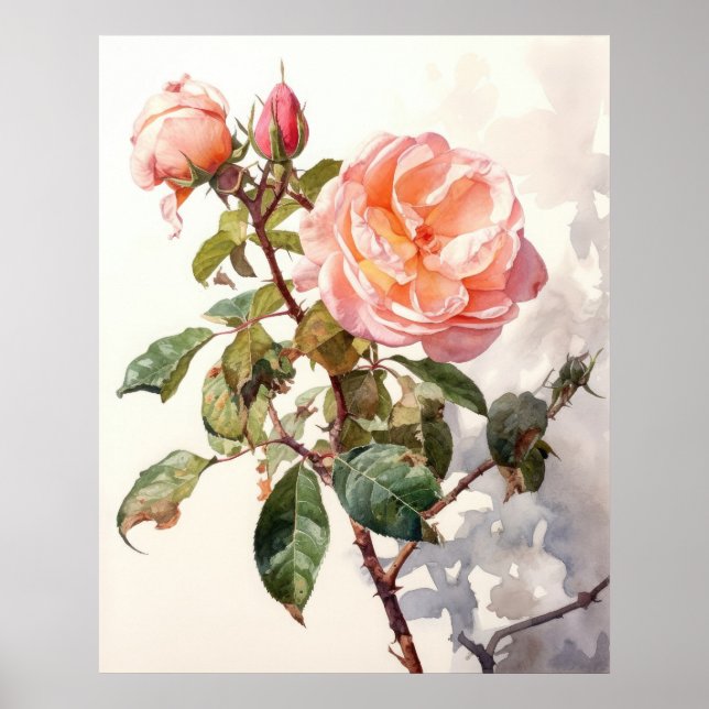 Poster Rosa de Subida Pacífica em Bloom Watercolor (Frente)