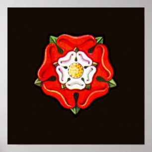 Pôster Rosa de Tudor de solteiro