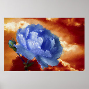 Pôster Rosa do azul