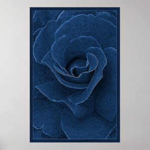 Poster Rosa do azul de veludo