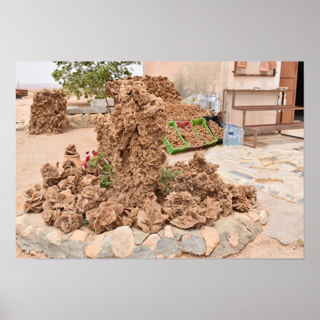 Poster Rosa do deserto. Tunísia. (Frente)