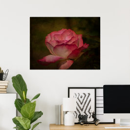 Poster Rosa do Início da Noite