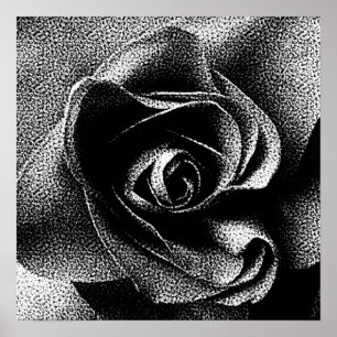 PÔSTER ROSA DO PRETO
