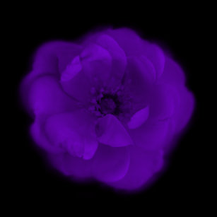 Presentes Fundo Preto Roxo Zazzle Com Br Fundo espaço universo escuro black lua peixe abstract. zazzle