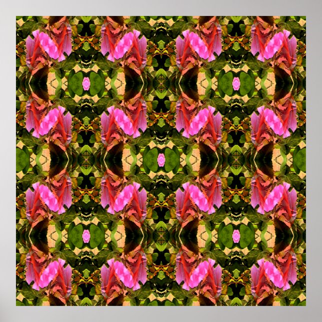 Poster Rosa espetacular...... (Frente)